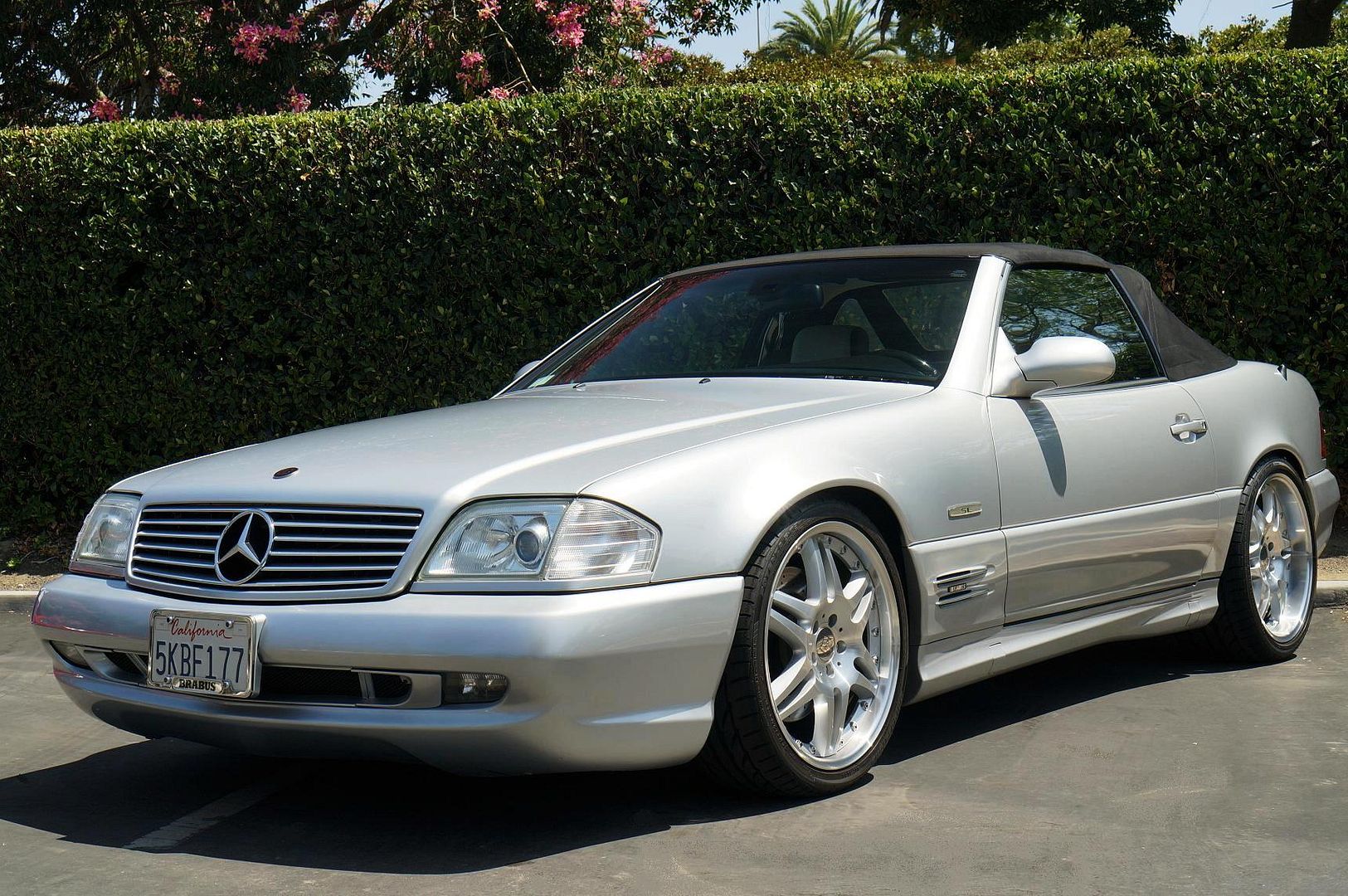 Who's Got The Oldest/newest R129? | Mercedes-Benz Forum